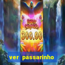 ver passarinho morto significado